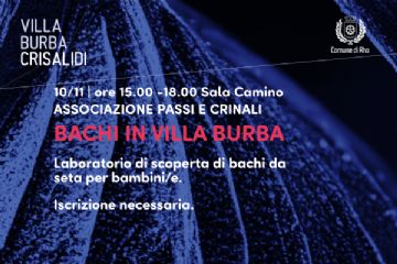 Villa Burba Crisalidi - spazi culturali in evoluzione