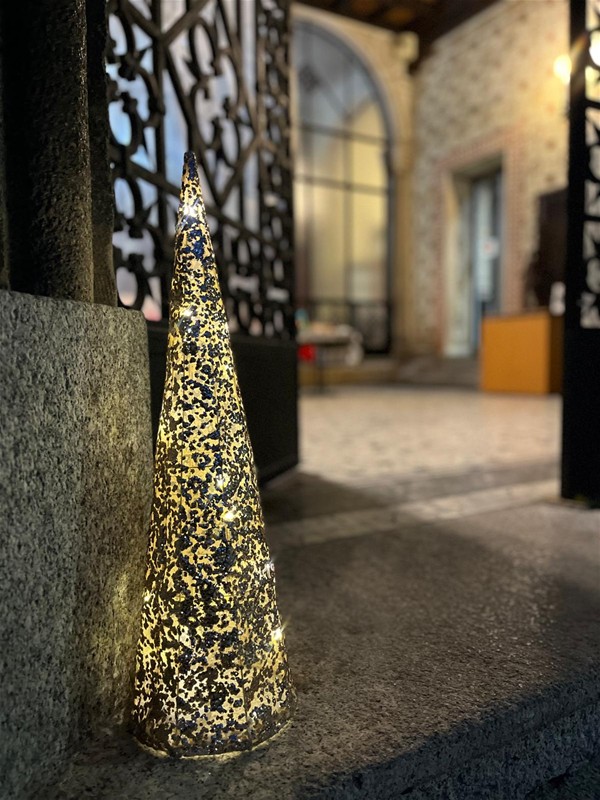 Alberello di natale luminoso vicino alla porta di ingresso del municipio