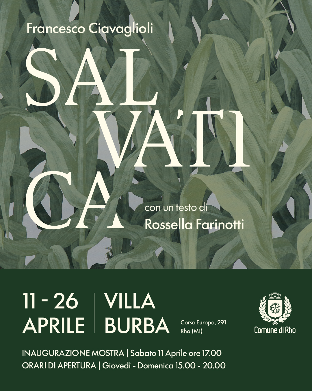 Locandina Salvatica foglie in primo piano 