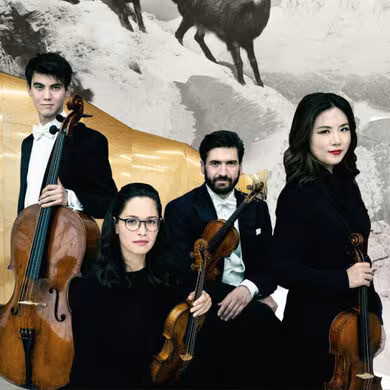 Philarmoni string Quartet