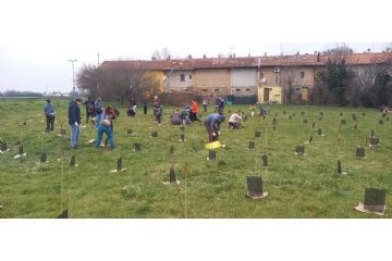 Foto dell'evento Forestami che si è svolto in via Deledda a Rho il 28 febbraio 2026. Persone lavorano tutte insieme in un prato per creare la piantagione collettiva in via Deledda.