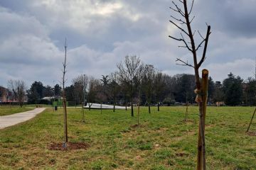 Annaffiature in corso per le nuove alberature