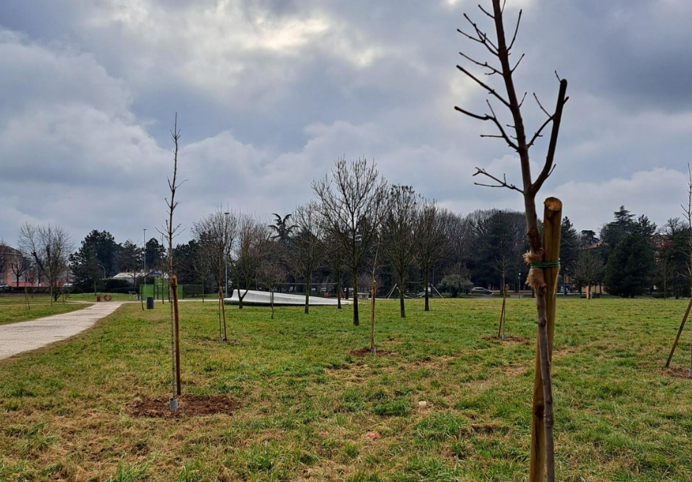 parco con nuove piantumazioni