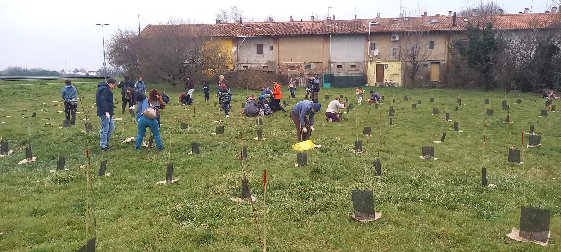Foto dell'evento Forestami che si è svolto in via Deledda a Rho il 28 febbraio 2026. Persone lavorano tutte insieme in un prato per creare la piantagione collettiva in via Deledda.
