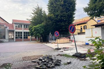 Alcune delle piante da abbattere per consentire i lavori del parcheggio