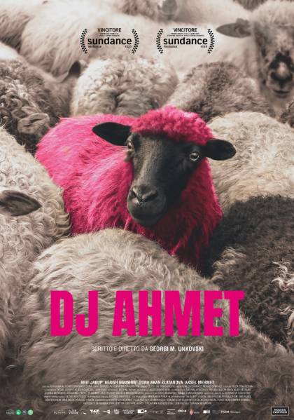Locandina film Dj Ahmet pecore con nel centro una pecora  dipinta di rosa fucsia