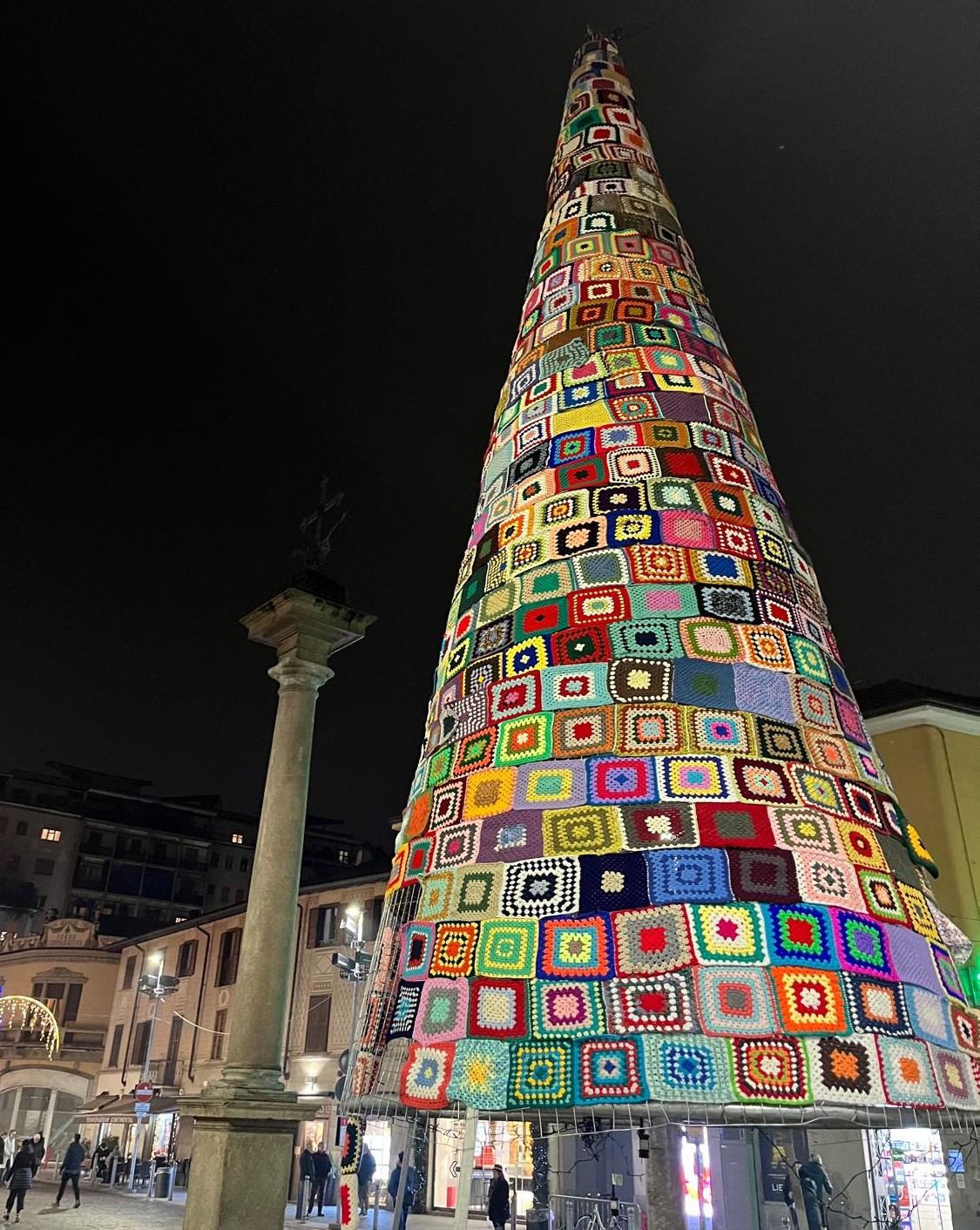 Albero Knit