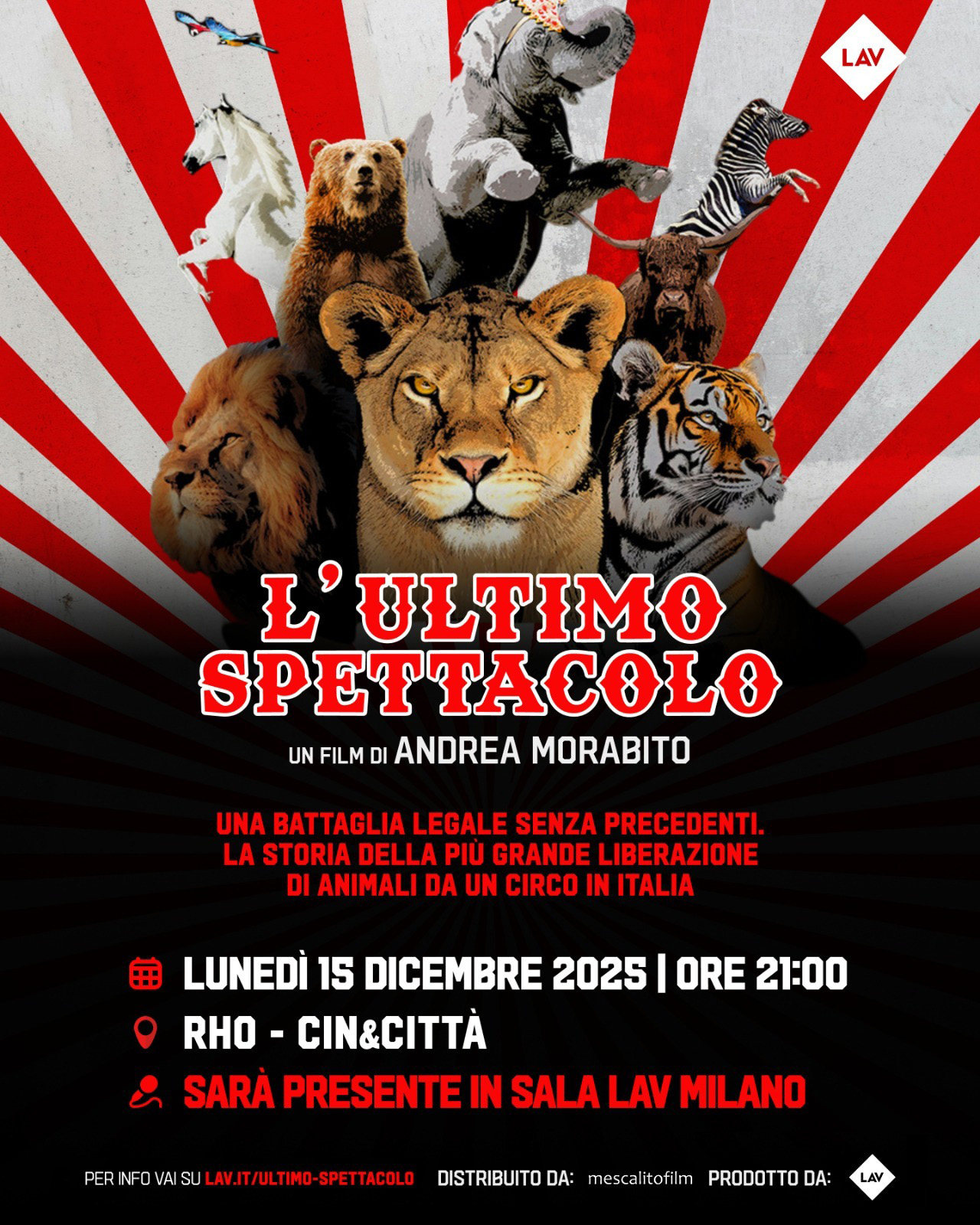 locandinaL'ultimo spettacolo