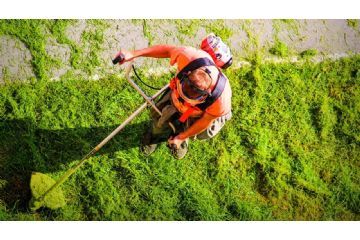 taglio erba generico