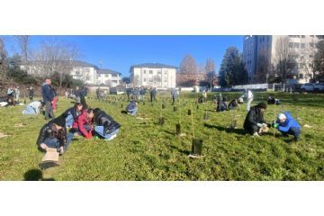 un momento della piantumazione