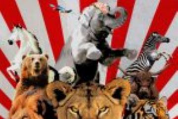 locandina film  L'ultimo spettacolo animali tigre leoni cavalli elefanti orso zebra 