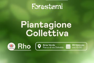 su sfondo verde Forestami Piantagione Collettiva Logo comune di Rho e in un rettangolo Area Verde Parco di via Deledda icona del calendario 28 febbraio ore 10.00
