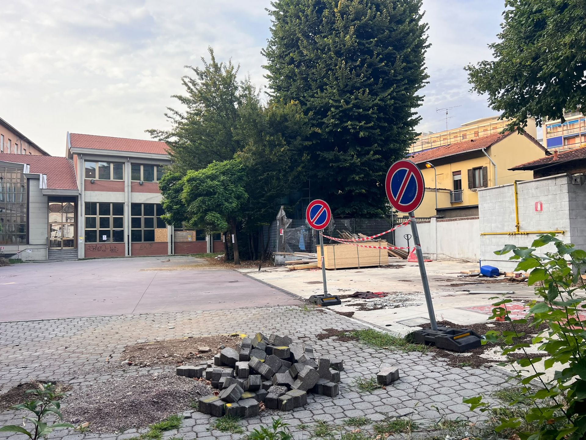 Alcune delle piante da abbattere per consentire i lavori del parcheggio