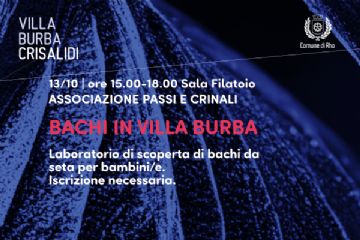 Immagine Villa Burba Crisalidi - spazi culturali in evoluzione Bachi in Villa  Burba
