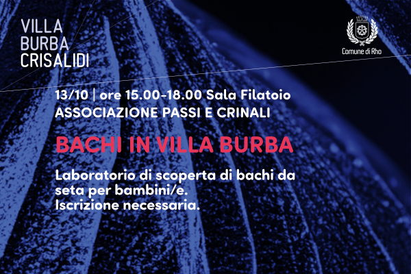 Immagine Villa Burba Crisalidi - spazi culturali in evoluzione Bachi in Villa  Burba
