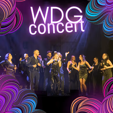 VDG concert