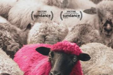 Locandina film Dj Ahmet pecore con nel centro una pecora  dipinta di rosa fucsia