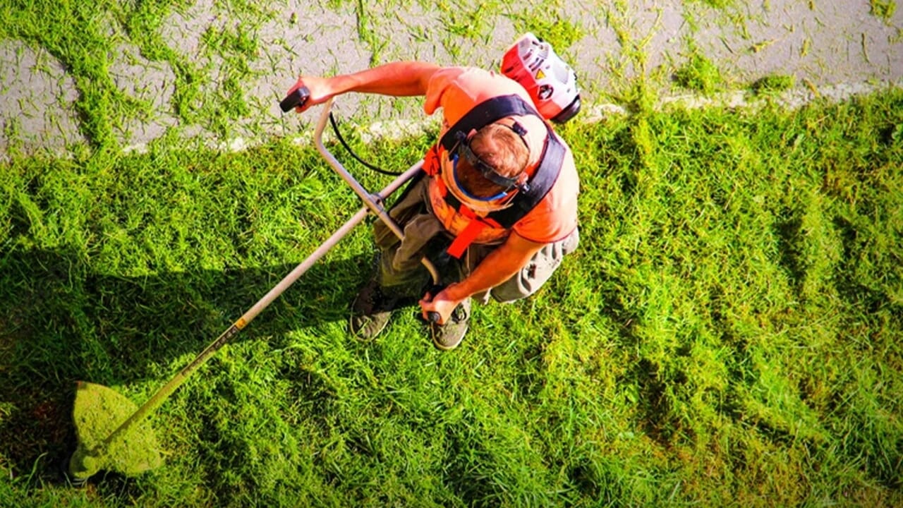 taglio erba generico