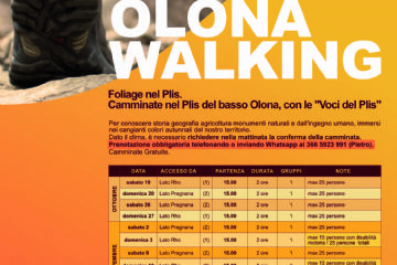 Ecco le date delle camminate foliage nel Plis del basso Olona e le informazioni per prenotarsi e partecipare.