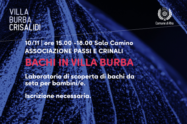 Villa Burba Crisalidi - spazi culturali in evoluzione