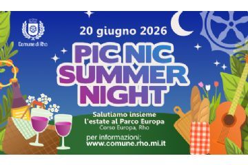 locandina PIC NIC summer night