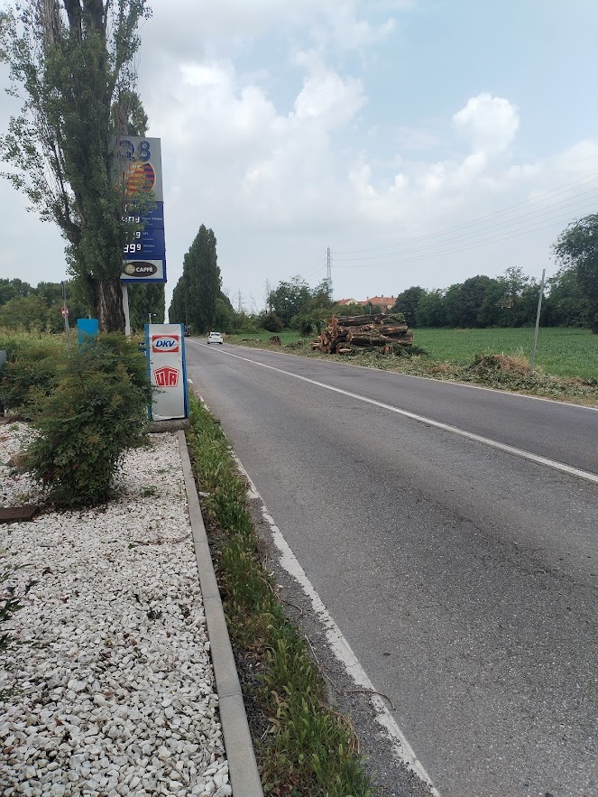 albero vicino al distributore di benzina