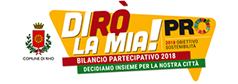 Bilancio partecipativo